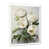 Cadre simple blanc