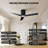 2pcs 52 Inch Ceiling Fan With Light-1540543976