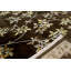 Dharma Floral Area Rug
