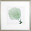Sea Fan II Print by Vision