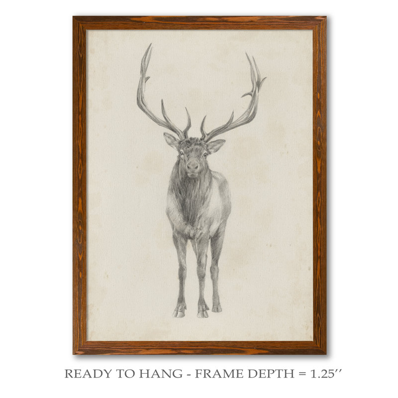 « elk study » par paul cezanne-photo-cadre, reproduction d’art, H 24 po x l 18 po x P 1,25 po, Cadre en toile d’érable