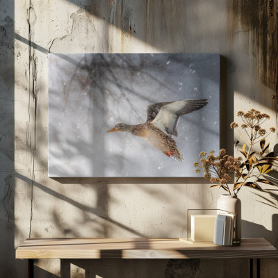 Wrapped Canvas Print