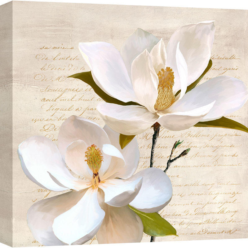 Ivory Magnolia II 1 Piece Wrapped Canvas Wall Art, 70cm H x 70cm W x 4cm D