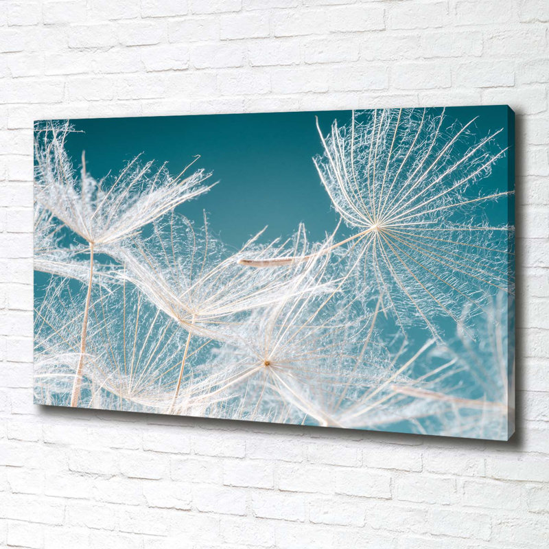 Dandelion Seeds - Wrapped Canvas Print