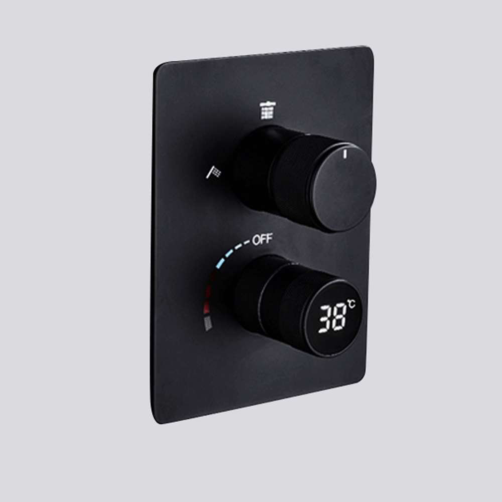 FontanaShowers Mestre 20 Matte Black LED Ceiling Mount Digital Mist ...