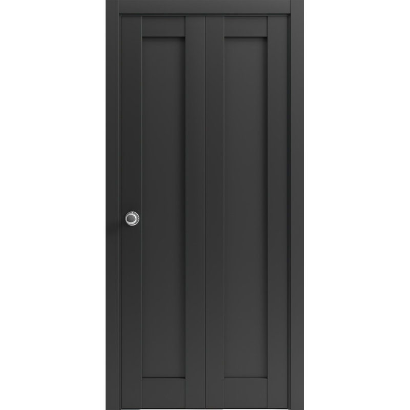 Portes coulissantes pliantes pour garde-robe | Quadro 4111 noir mat | Ensemble de quincaillerie pour moulures robustes | Portes de garde-robe de chambre en bois massif