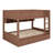 Multifunctional bunk bed system, equipped with storage shelves, under-bed drawers, and decorative LED lighting-1848795268