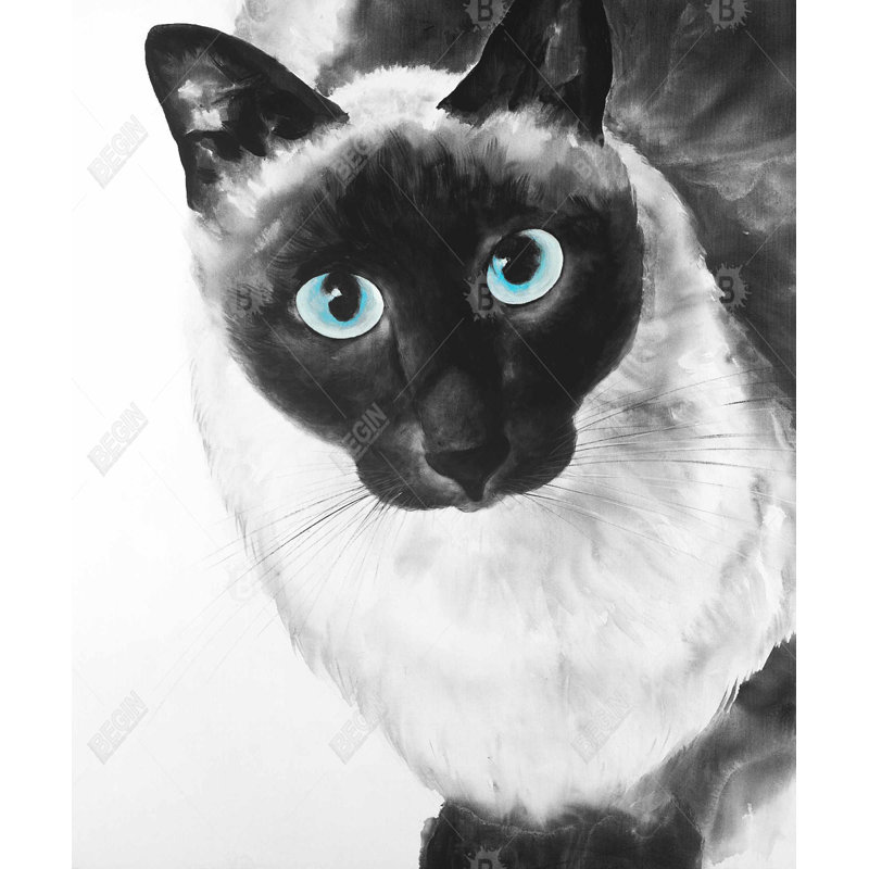 Blue Eyes Siamese Cat - Black Framed Canvas Home Decor