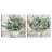 " Eucalyptus Pot I, Eucalyptus Pots II " 2 - Pieces