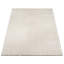 Area Rug-1855229417