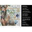 Serviette de cuisine Xoloitzcuintli-1209194123