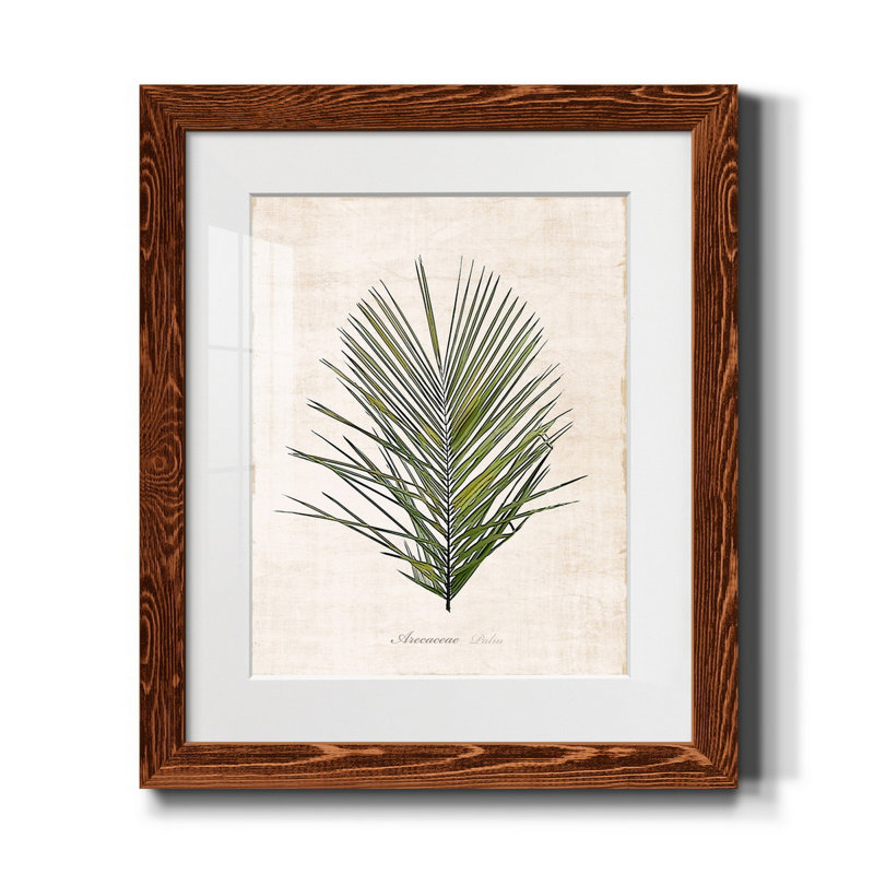 Palm Botanical I - Reproduction d'art graphique sur papier encadré, H 20 po x l 17 po x P 1,5 po, Érable