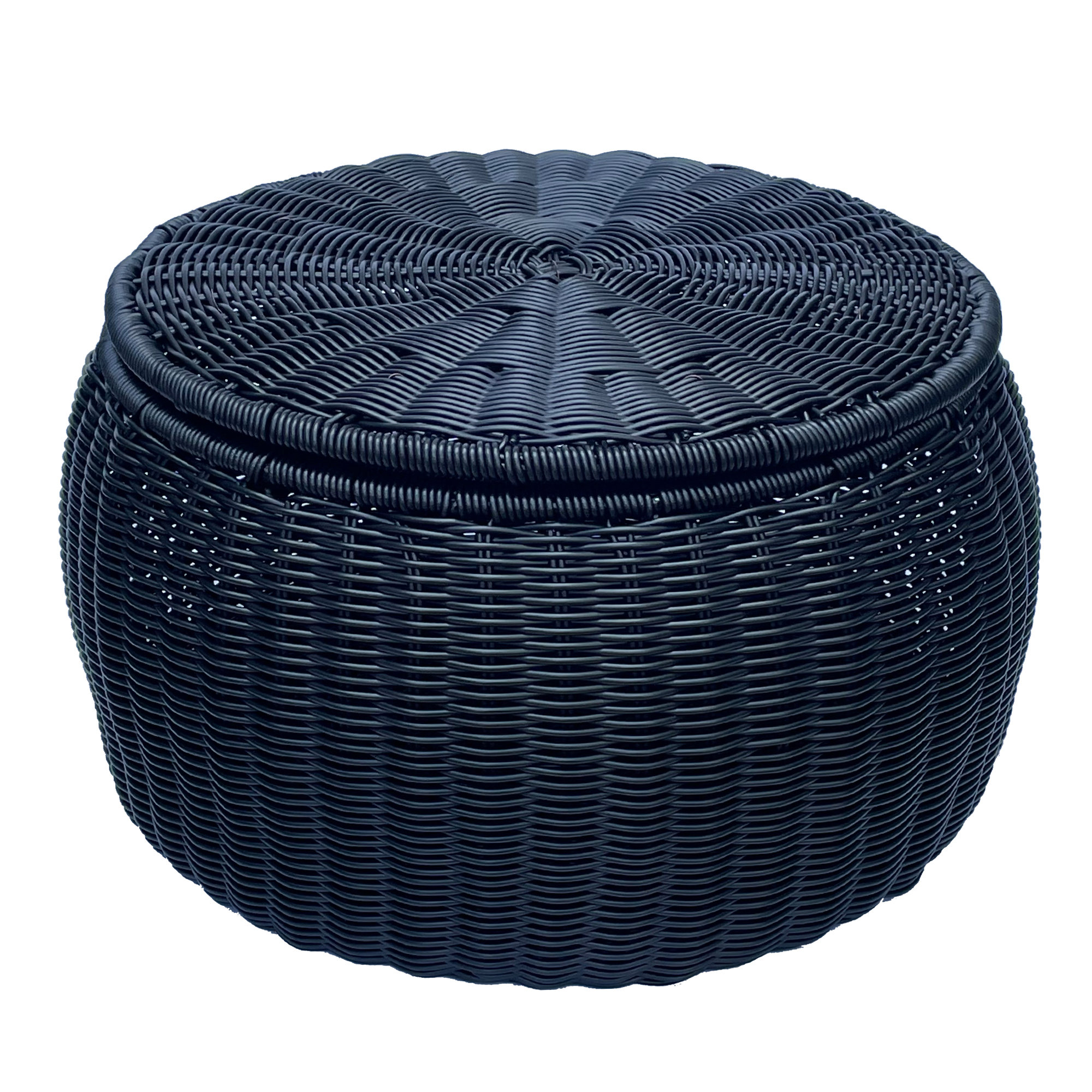 Highland Dunes Aletris Patio Wicker Rattan Storage Basket With Lid ...