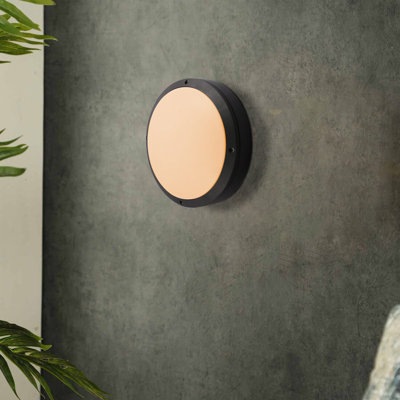Bhanupriya Black 22cm H Integrated LED Outdoor Flush Mount