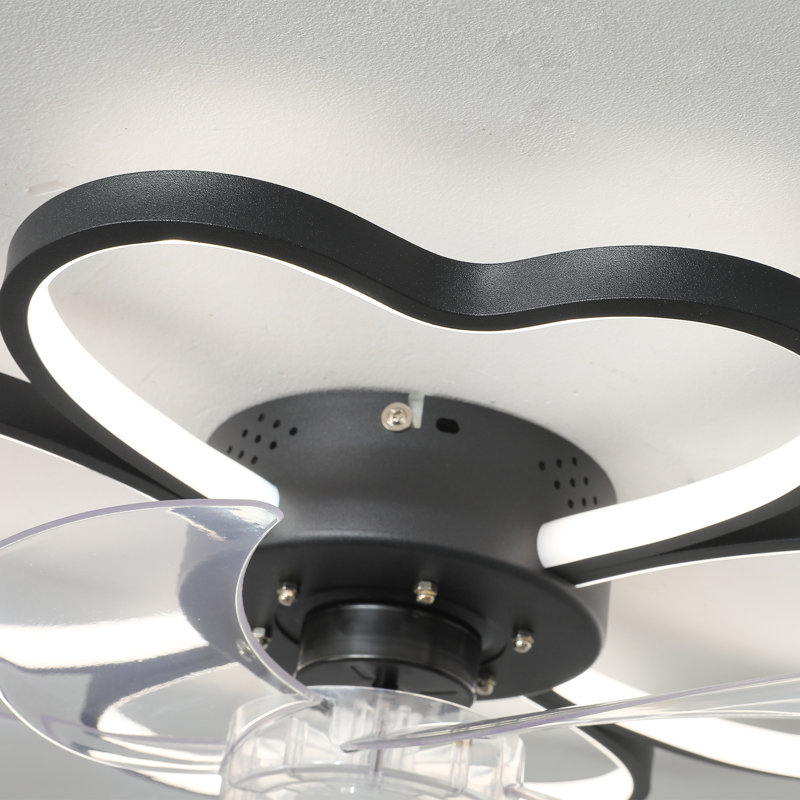 20" Ceiling Fan Light With 2 LED, Black
