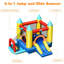 Pecoraro Inflatables
