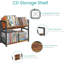 Présentoir à CD à 2 niveaux, tablette de bureau pouvant contenir jusqu'à 80 CD ou 56 DVD, tour de rangement de DVD inclinable au style rétro, brun rustique