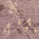 Martha Stewart Wool Pile Floral Rug in Beige/Rust