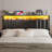 Hidden Storage Headboard California King Size With Charging Station, Ergonomic Upholstered Cal King Headboard Only With Led Lights, 2 Usb Ports & 2 Outlets, Easy Assembly, Black-987455548-987455538