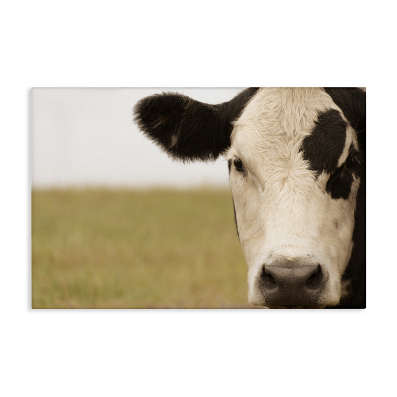 «Rustic Cow Stare Canvas», conception par J: L Design, H 24 po x l 36 po