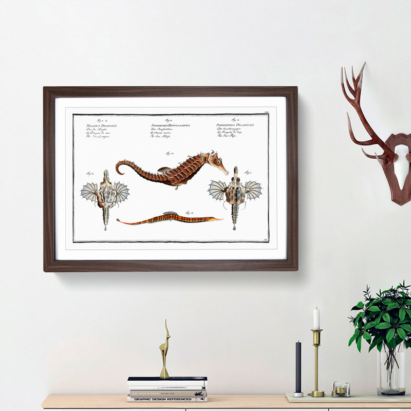 Seahorse & Sea Dragon by M.E. Bloch - Framed Print, 36cm H x 48cm W x 2cm D, Walnut Framed