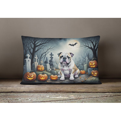 Other/No Pattern Outdoor Throw Pillow