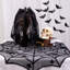 Ensemble de 8 nappes en toile d'araignée Halloween