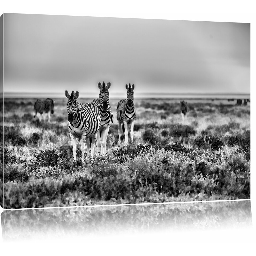 Leinwandbild Zebra in der Savanne in Monochrom