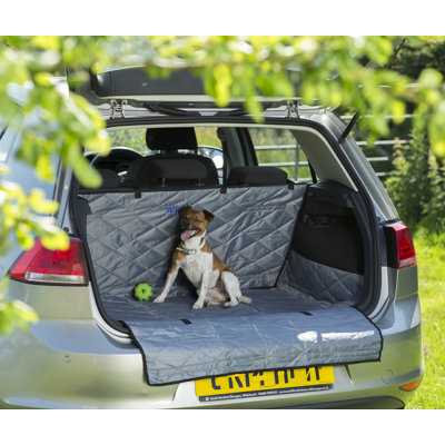 Collapsible Pet Carrier