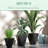 Set Of 3 Tall Planters, 18", 15.25", 11.75", Mgo Indoor Outdoor Planters With Drainage Holes, Stackable Flower Pots For Garden, Patio, Balcony, Front Door, Black