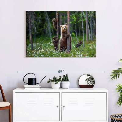 Brampt Grizzly Bear Group