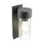 Borut 25cm H Outdoor Wall Lantern