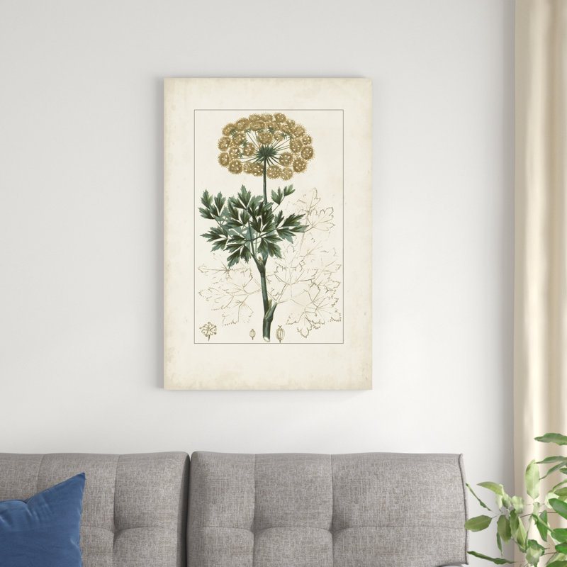 Antique Turpin Botanical VI, H 36 po x l 24 po