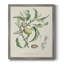 Toile encadrée de qualité supérieure antique botanique IV - prête à être accrochée-1632515165-1632515166