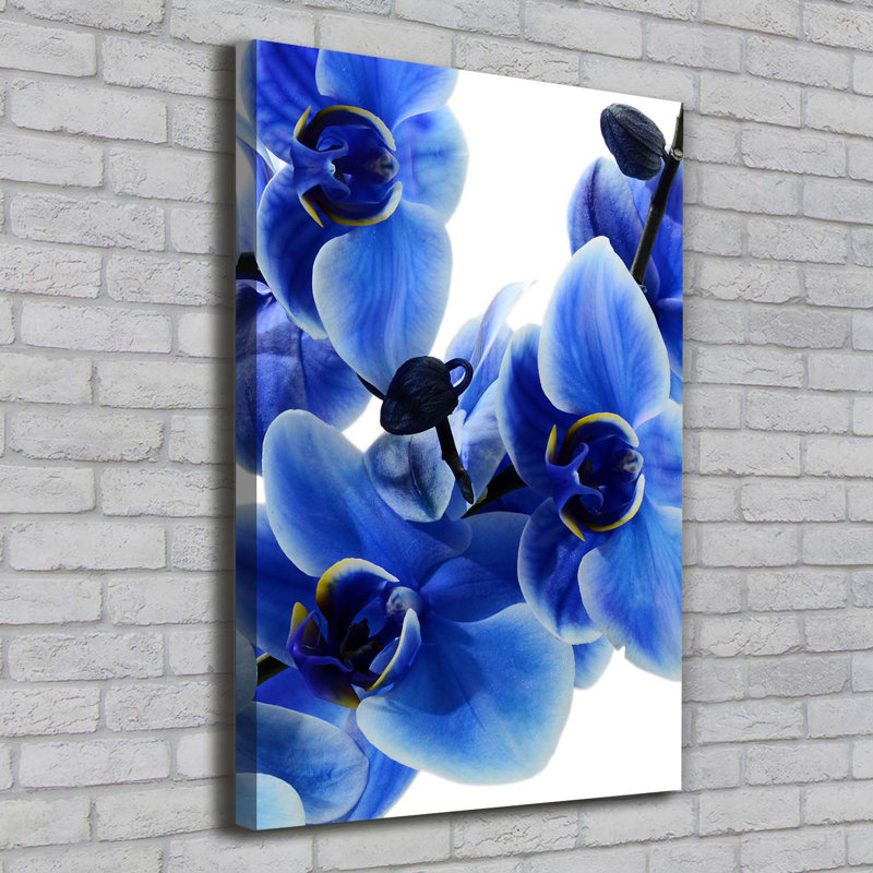 Blue Orchid - Wrapped Canvas Print