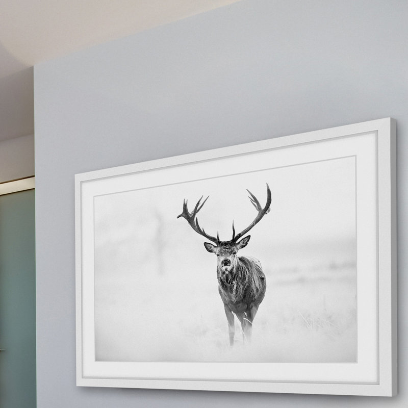 Elk Stare par Marmont Hill - reproduction de cadre photo, H 20 po x l 30 po x 1,5 po, Cadre blanc