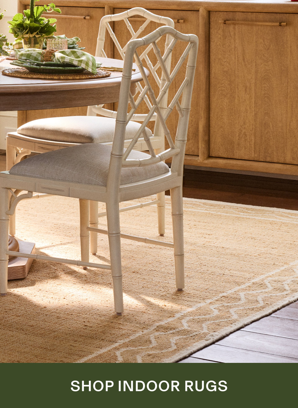 Shop Indoor Rugs