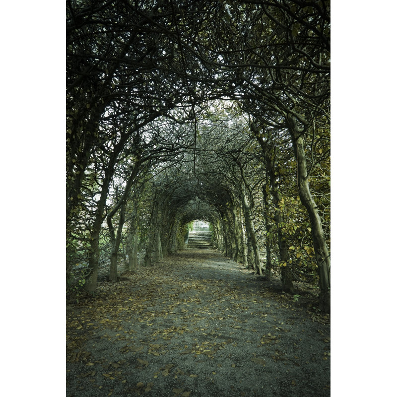 Enchanted Garden by Susandaniels - Wrapped Canvas Print, 46cm H x 30cm W