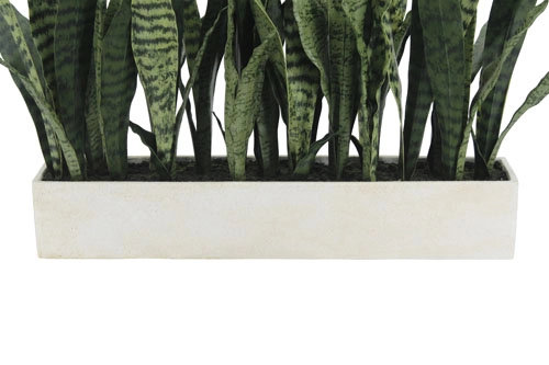 27" Potted Snake Plant - Natural, Natural