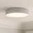 Raasch 1-Light LED Flush Mount-930126327-930126324