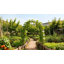 240 cm H x 180 cm W Steel Arched Trellis