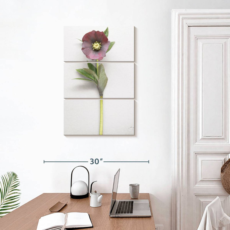 Harnek Hellebore Study II, H 32 po x l 20 po