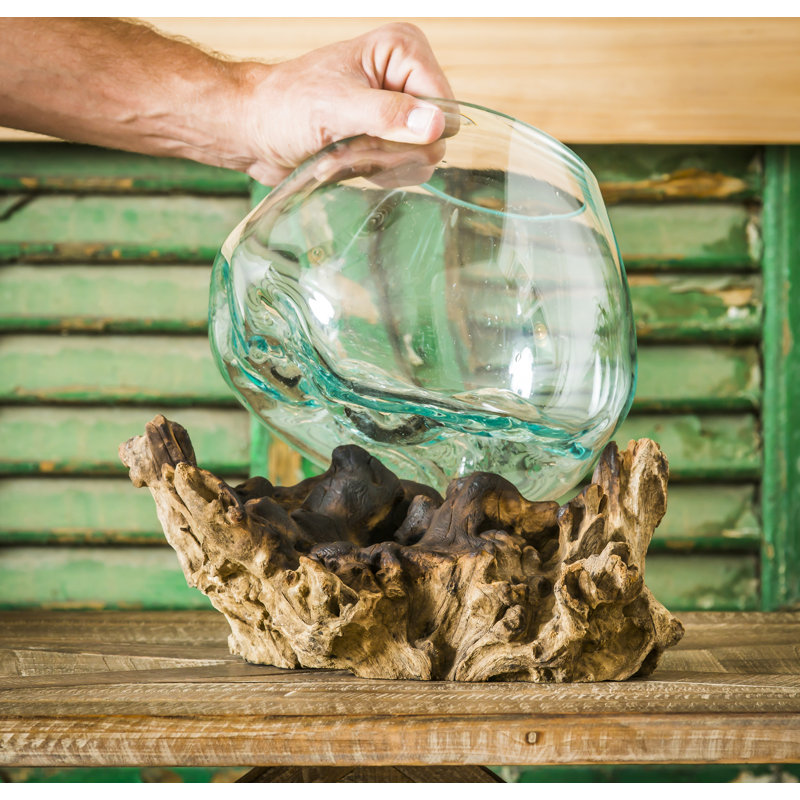 Jarom Glass Driftwood Terrarium Planter 
