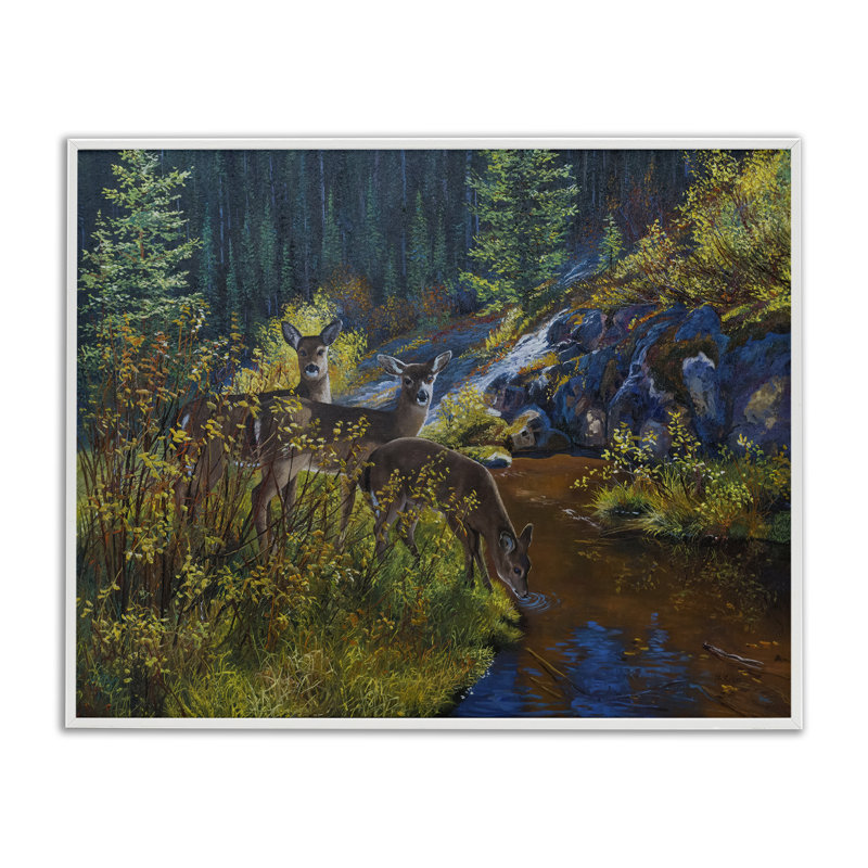 Cerf buvant à la rivière, estampe numérique par Andrew Kiss, Giclée encadrée blanc bord de mer, H 24 po x l 30 po