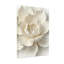Plantes et fleurs, lotus blanc, reproduction d'art sur toile-456568825