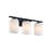 Rieth 24 in. 3-Light Vanity Wall Light for Bathrooms-988508058