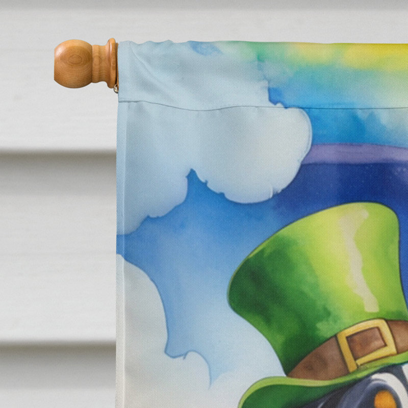 Drapeau double face en polyester H 40 po x l 28 po St Patrick's Day House