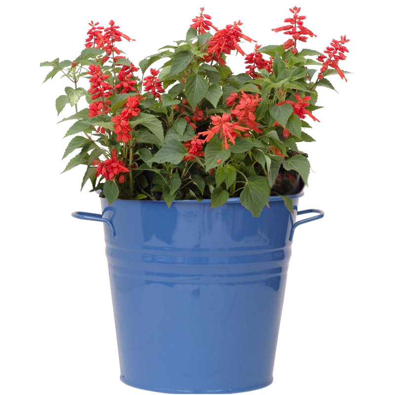 Pot à fleurs en acier galvanisé Venne