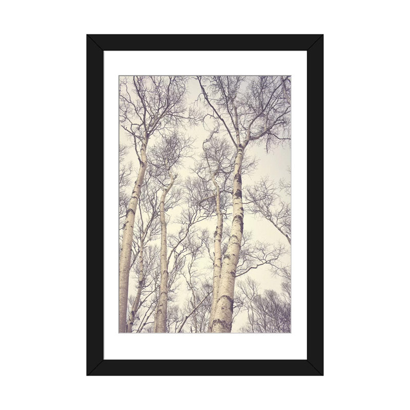 «Birch Trees» par Olivia Joy St Claire - impression sur toile tendue, H 24 po x l 16 po x P 1 po, Papier d'art encadré noir