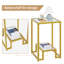 Glass Top Frame End Table